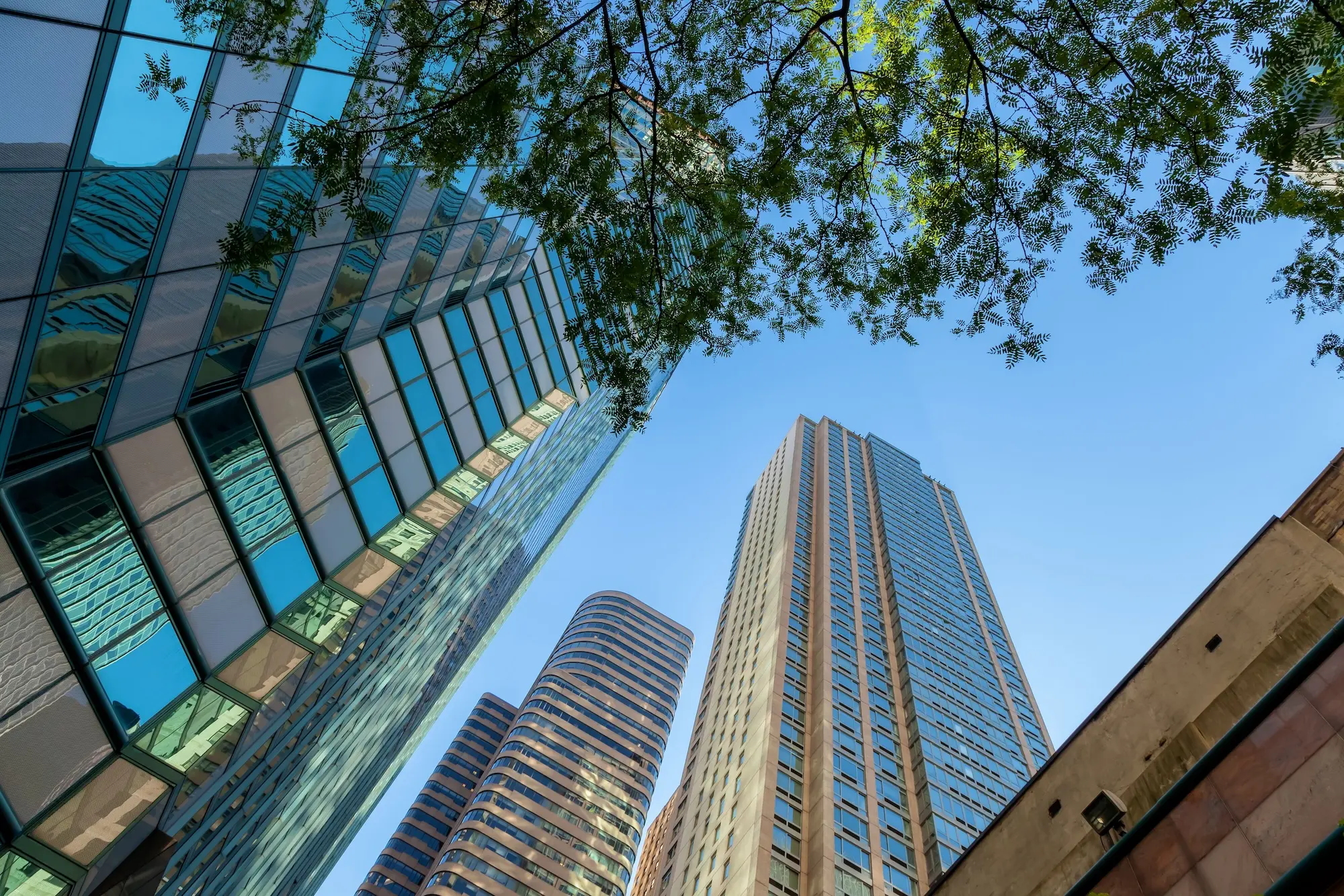 Leading underwriting partner with professional services and compliance commitment